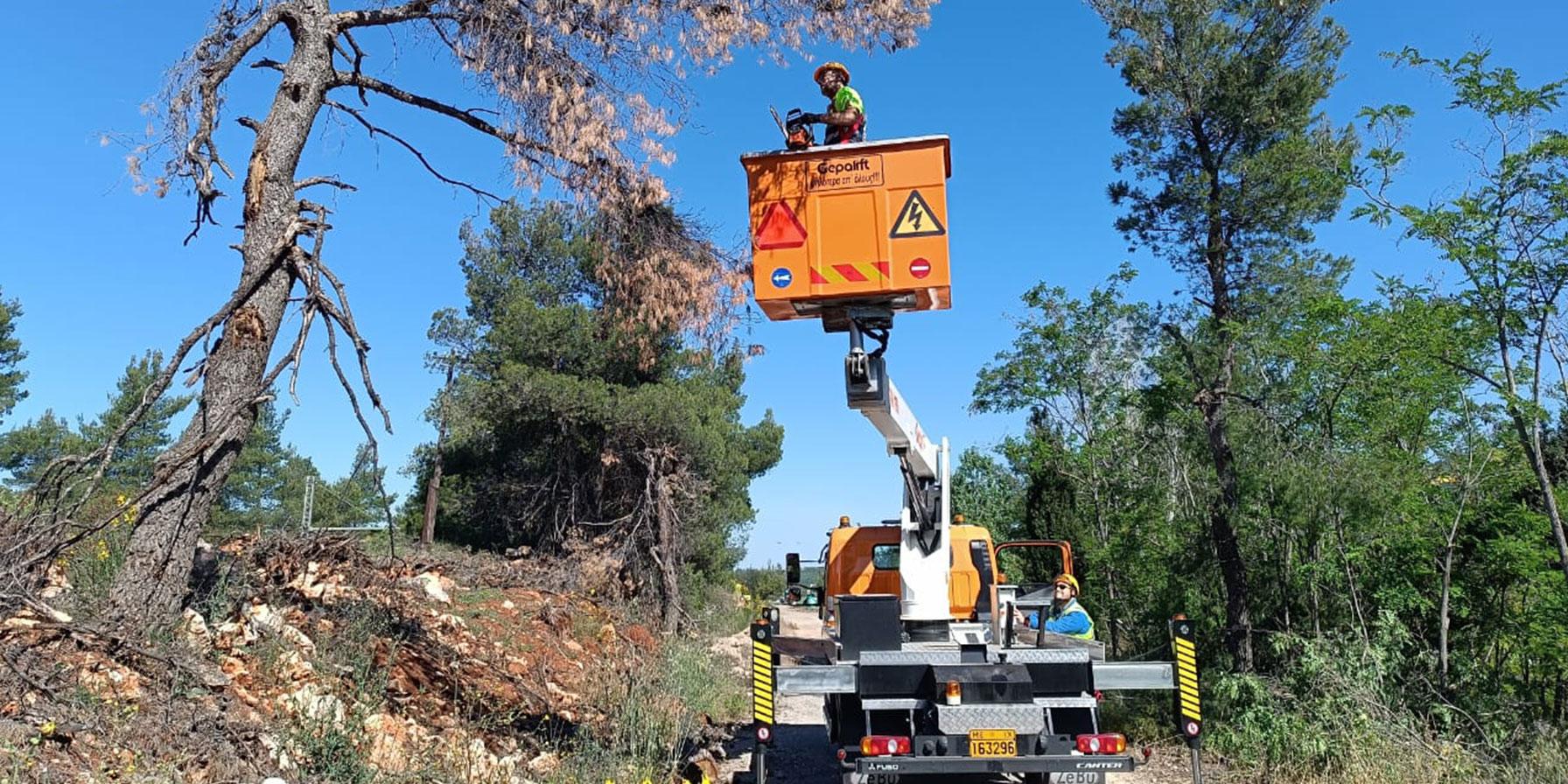 Alexandros Papatheodoropoulos, Heavy Machinery Operator 