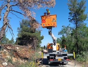 Alexandros Papatheodoropoulos, Heavy Machinery Operator 